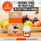 [BUY 2 GET 1 FREE]🔥Super Ninja Fruit Fly Trap - User Friendly  (Up to 3 Weeks per Bottle)