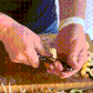 🔥LAST DAY 49% OFF - Quick Slicing Knife