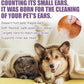🐶🐱Pet Ear Cleaner - Infection Treatment for Dogs & Cats