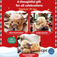 🔥LAST DAY 49% OFF -🎁Cute Cartoon Highland Cow Cuddly Toy