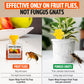 [BUY 2 GET 1 FREE]🔥Super Ninja Fruit Fly Trap - User Friendly  (Up to 3 Weeks per Bottle)