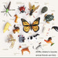 🎁4D ANIMAL PUZZLE🐱‍👤-Suitable for all children and teenagers
