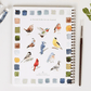 🔥Lente Korting🖼️ Aquarel Werkboek voor Nieuwe Kunstenaars