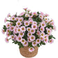 💥Last Day Each Only $2.59- Artificial Outdoor Sunset Mums Flowers - UV resistant, Waterproof, Windproof